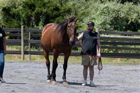 LR-WRF 08022025-Retreat-3201